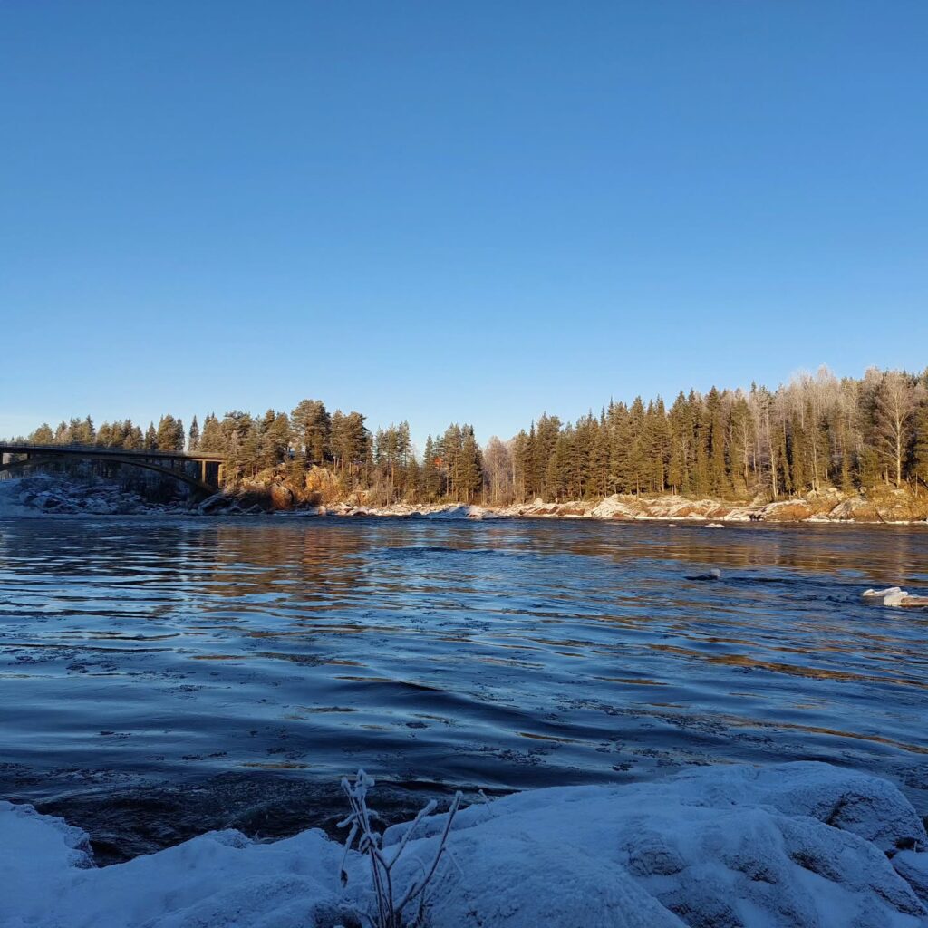 Instagram post from luontoa_ig. This post is in position 1.