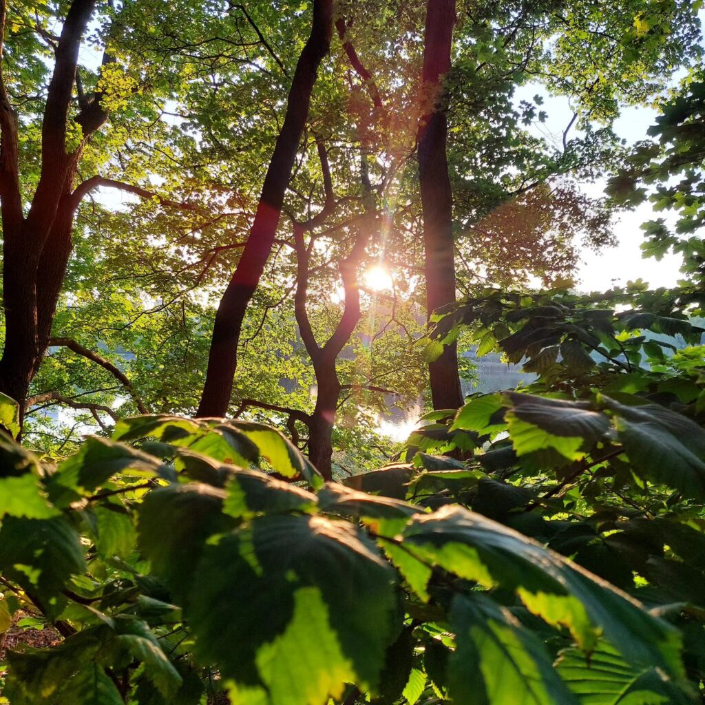 Instagram post from luontoa_ig. This post is in position 3.