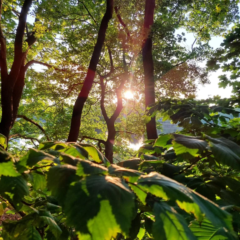 Instagram post from luontoa_ig. This post is in position 9.